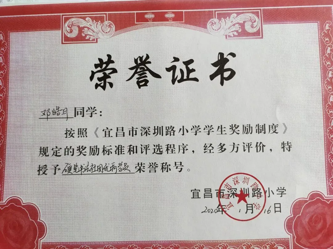 优秀学员的练习与成长记录