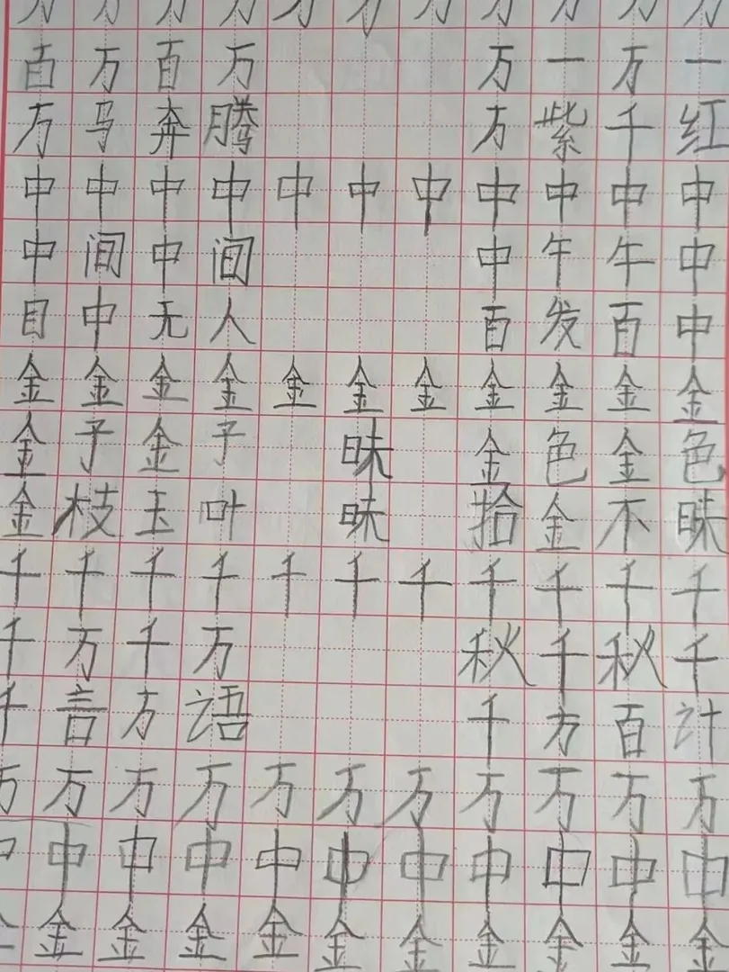 优秀学员的练习与成长记录