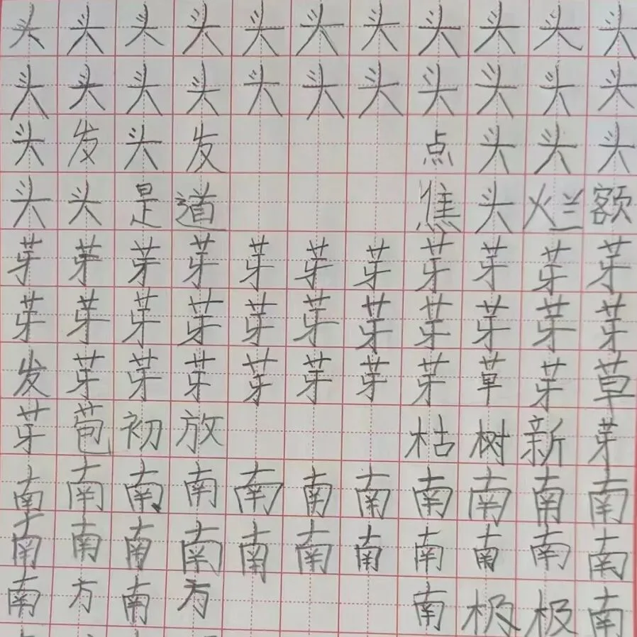 优秀学员的练习与成长记录