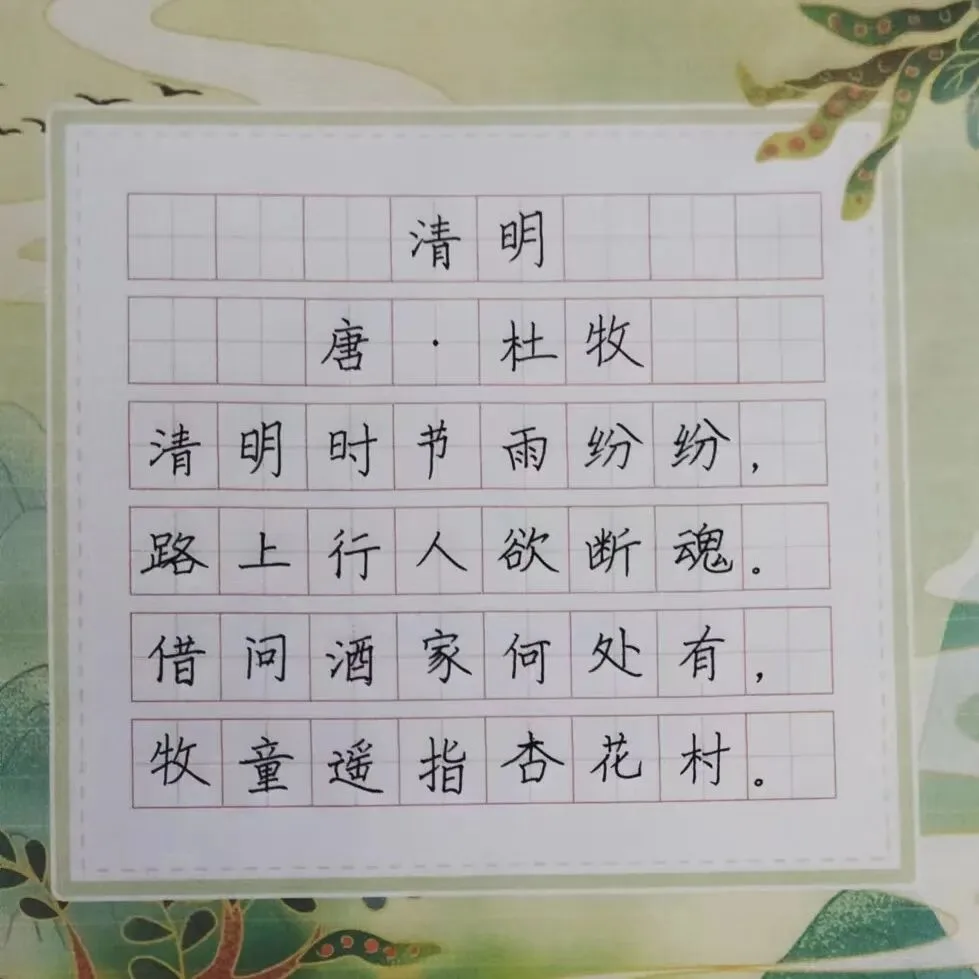 优秀学员的练习与成长记录
