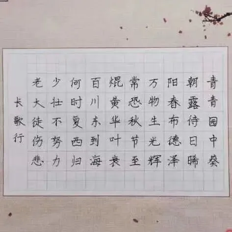 优秀学员的练习与成长记录