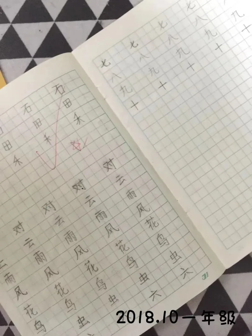 优秀学员的练习与成长记录
