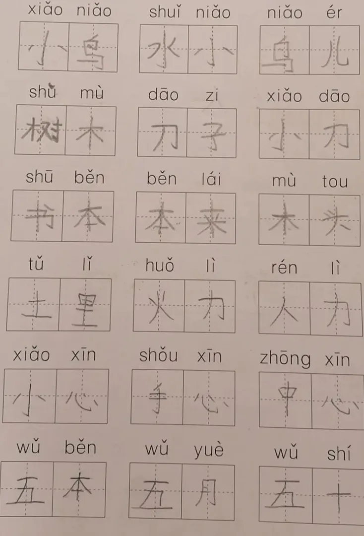 优秀学员的练习与成长记录