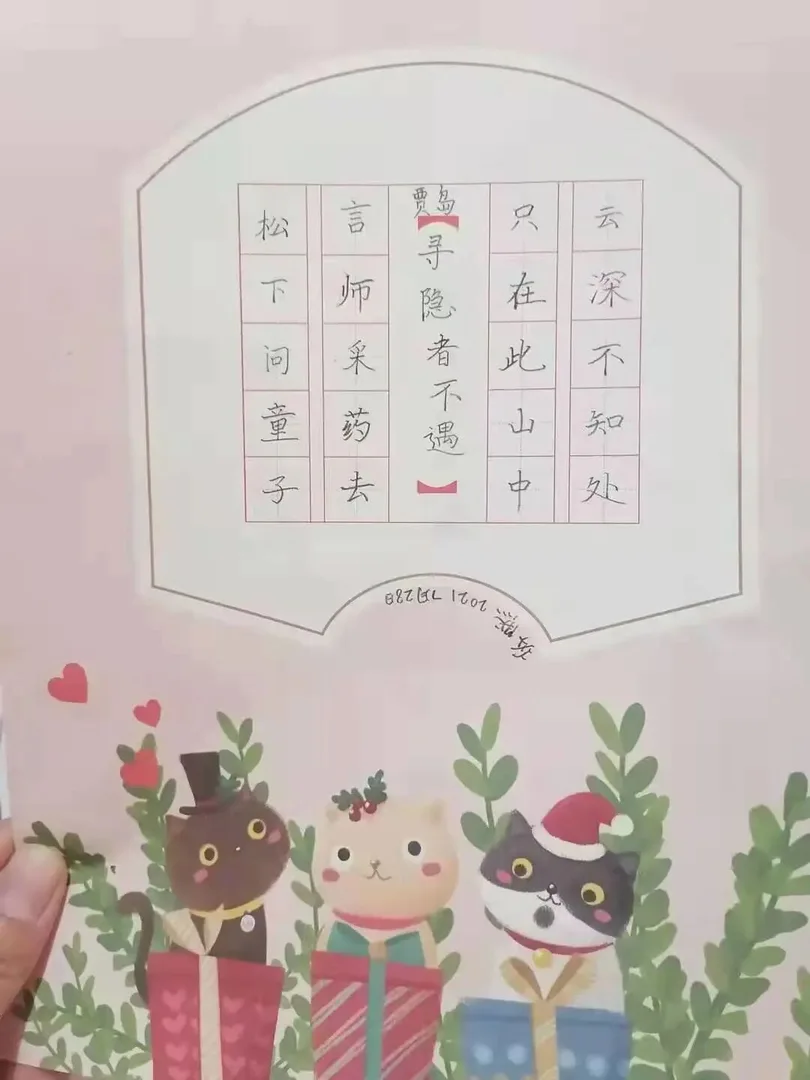 优秀学员的练习与成长记录