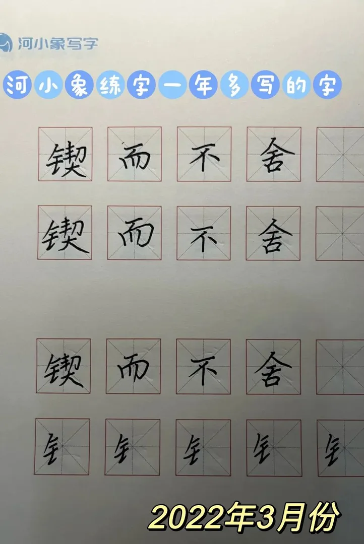 优秀学员的练习与成长记录