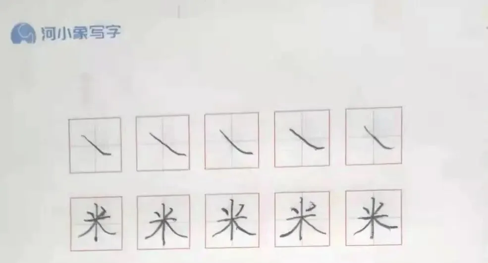 优秀学员的练习与成长记录