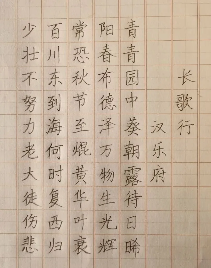 优秀学员的练习与成长记录