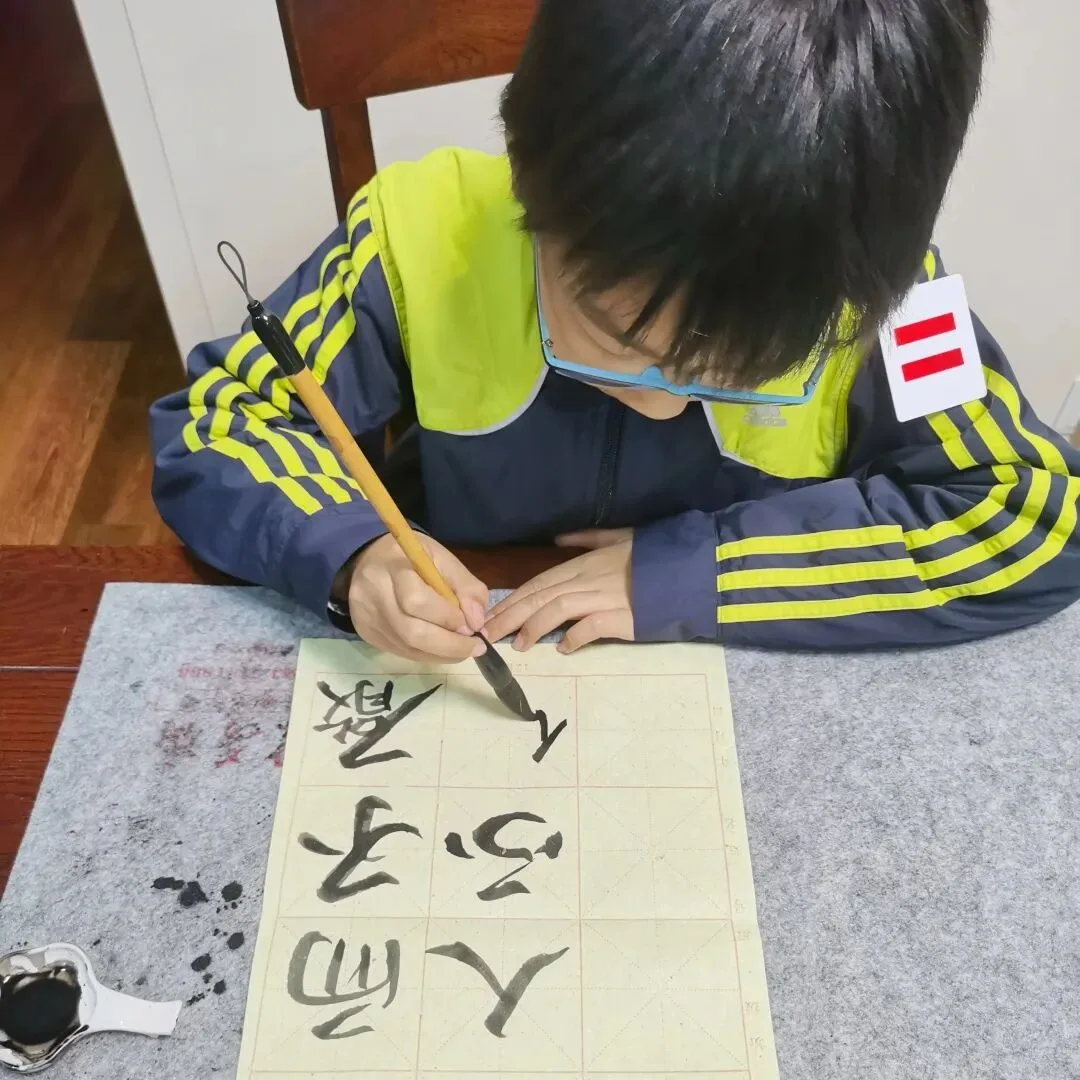 优秀学员的练习与成长记录