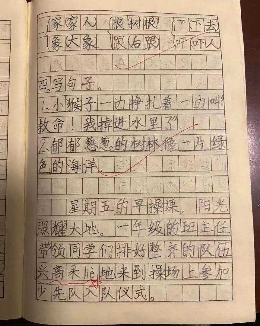 优秀学员的练习与成长记录