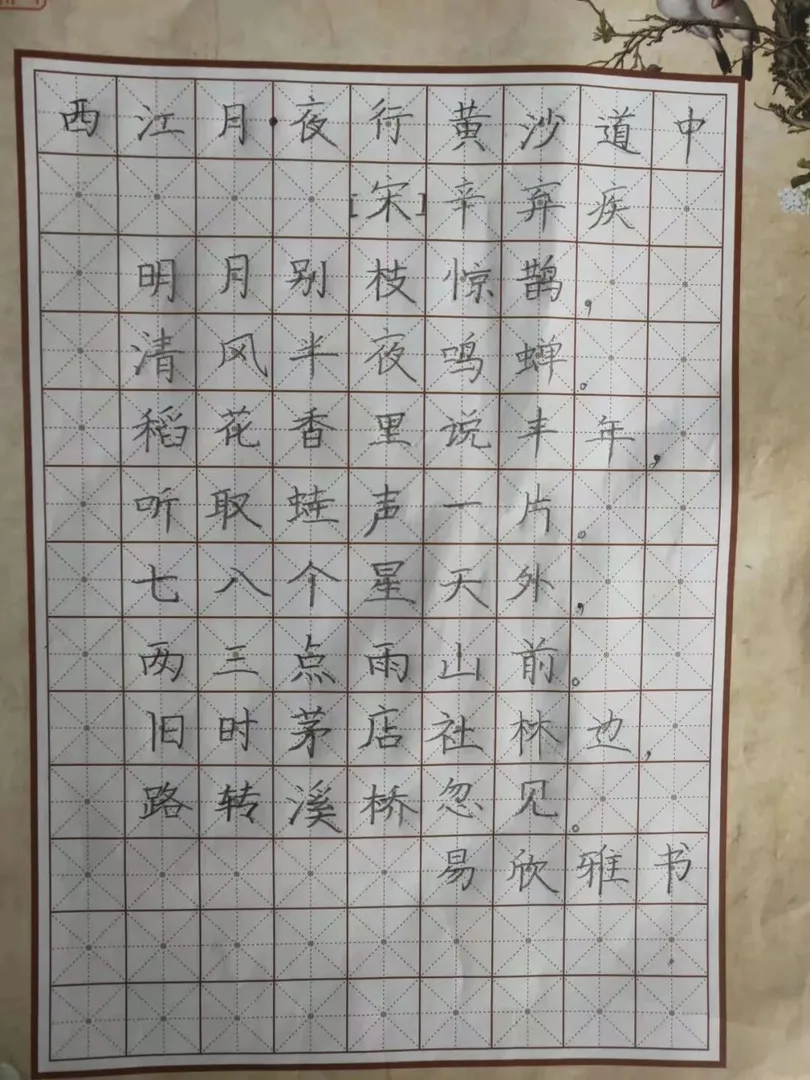 优秀学员的练习与成长记录