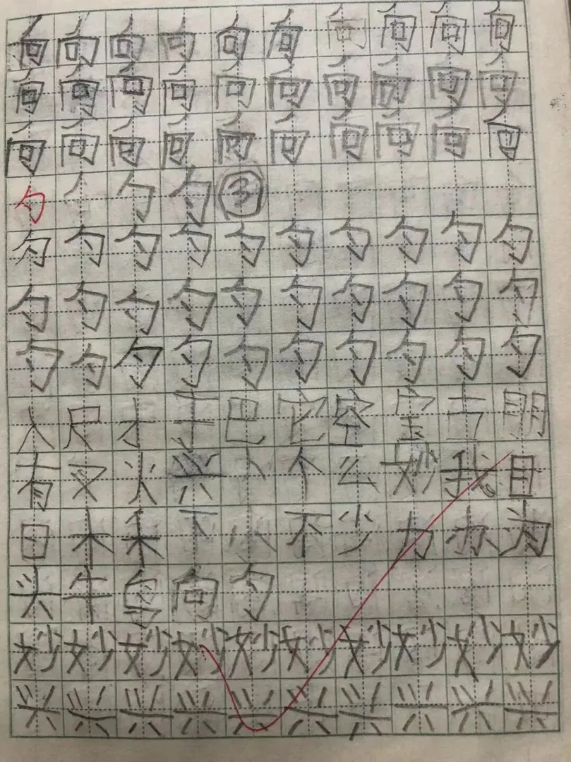 优秀学员的练习与成长记录