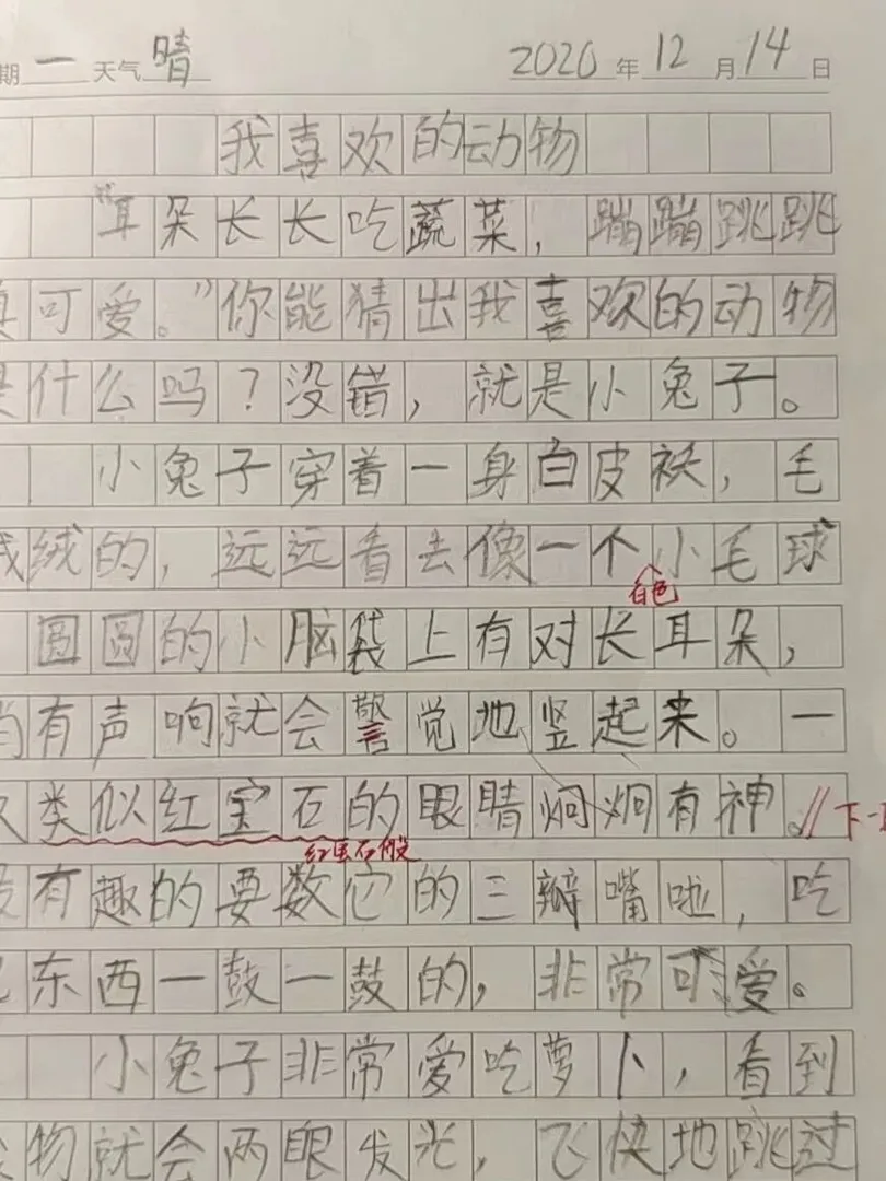 优秀学员的练习与成长记录