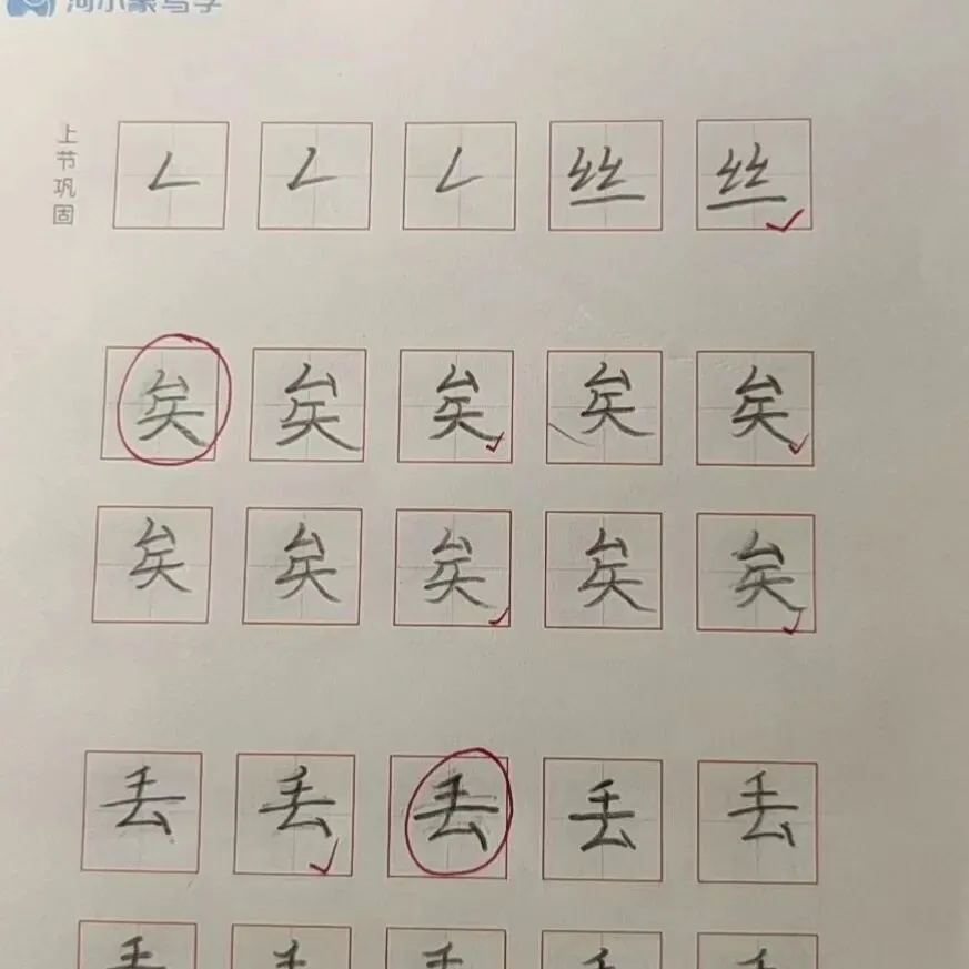 优秀学员的练习与成长记录