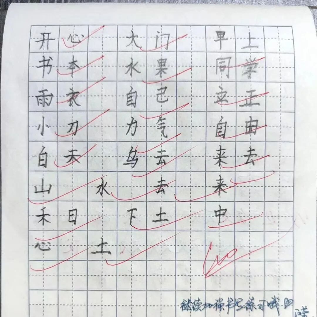 优秀学员的练习与成长记录