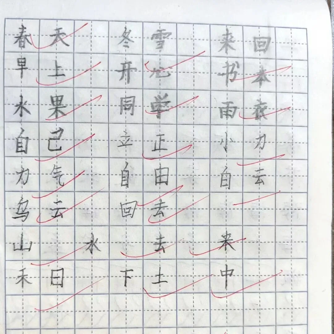 优秀学员的练习与成长记录